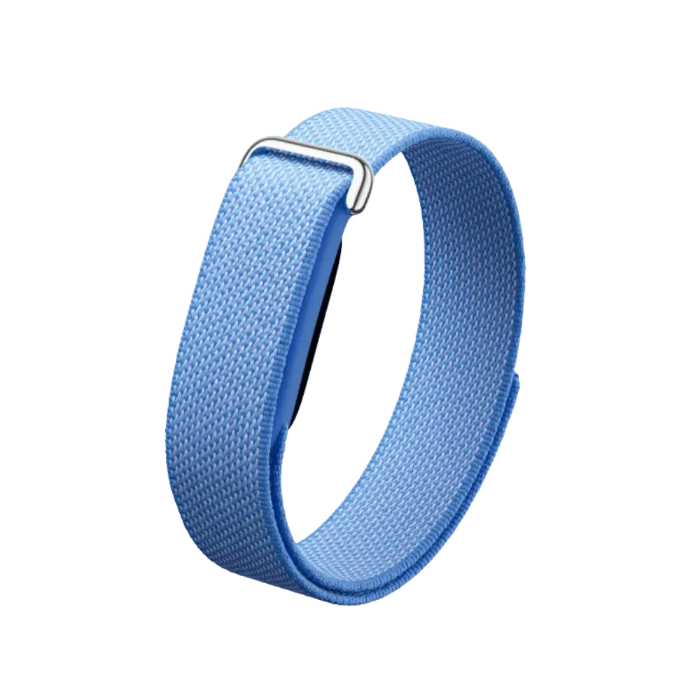 Google Fitbit Air "Lavender"